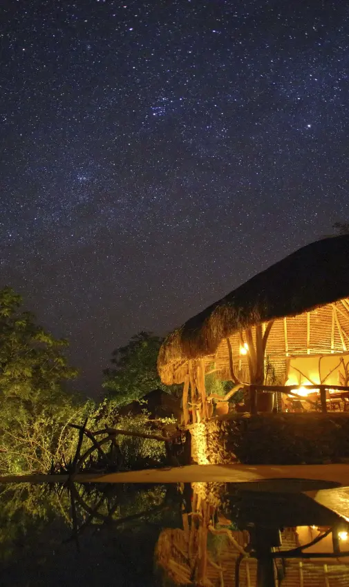 Illuminated treehouse lodge reflected in water at night, Sarara Treehouses, Northern Kenya, Kenya