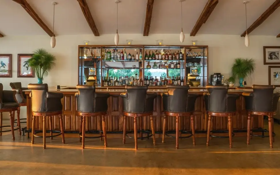 Bar counter with wooden stools and backlit shelving, The River Station, Queen Elizabeth NP, Uganda