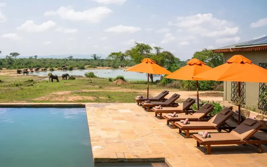 Pool deck with loungers overlooking river and elephants, The River Station, Queen Elizabeth NP, Uganda