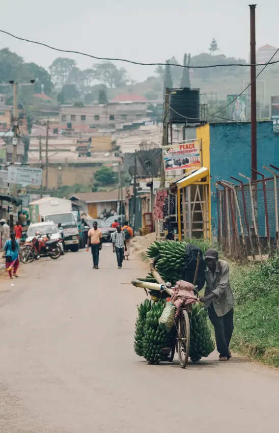 Man pushing bicycle loaded with green bananas along a Uganda street