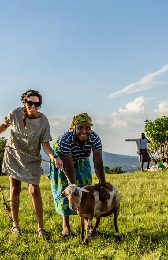 Guests walking with goats in green valley landscape, Virunga Lodge, Volcanoes National Park, Rwanda
