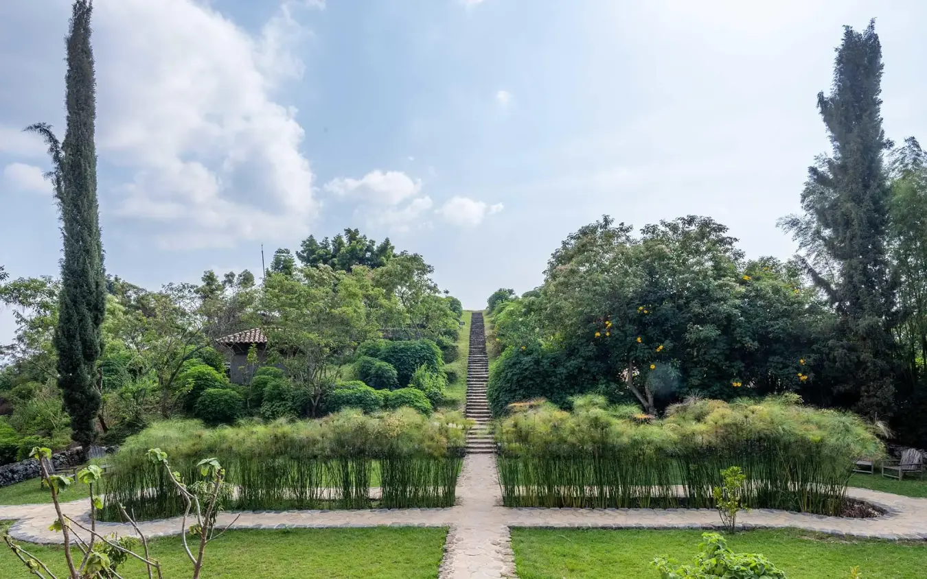 Formal garden pathway with cypress trees and manicured lawns, Virunga Lodge, Volcanoes National Park, Rwanda