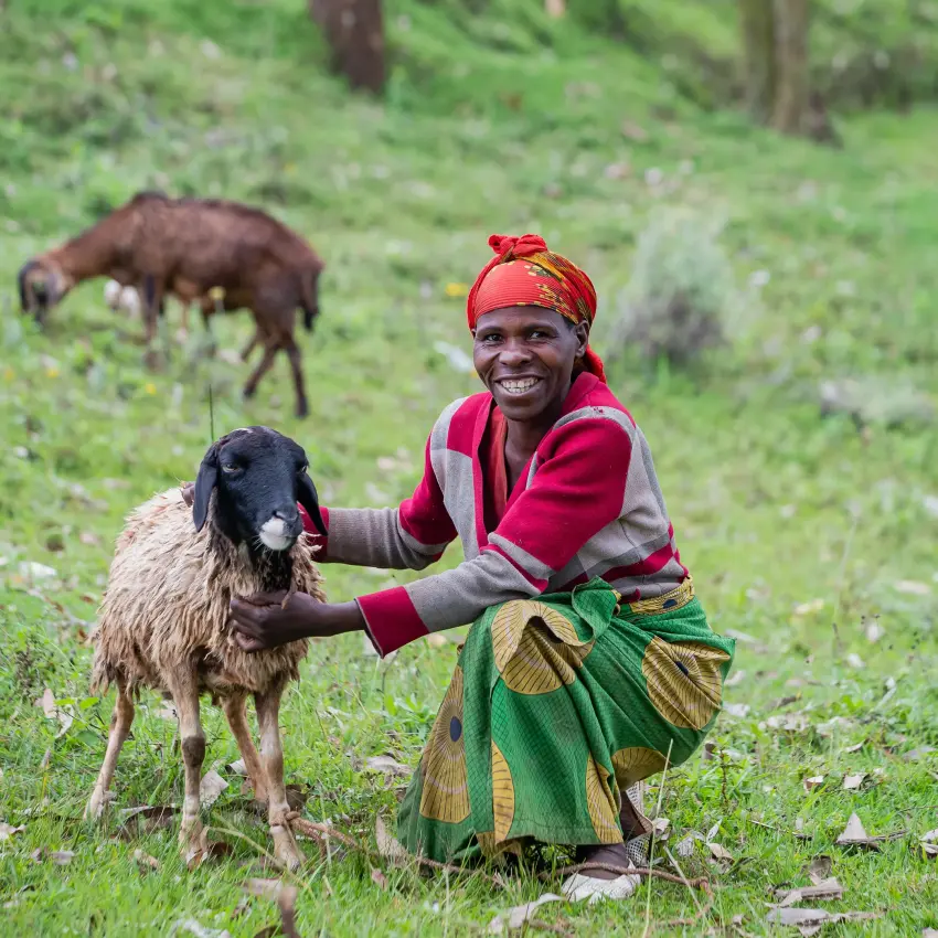 Local herder smiling with goat in grassy hillside, Volcanoes National Park, Rwanda