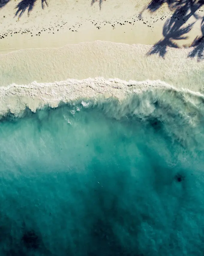 Aerial view of turquoise waves washing onto a Zanzibar beach with palm shadows