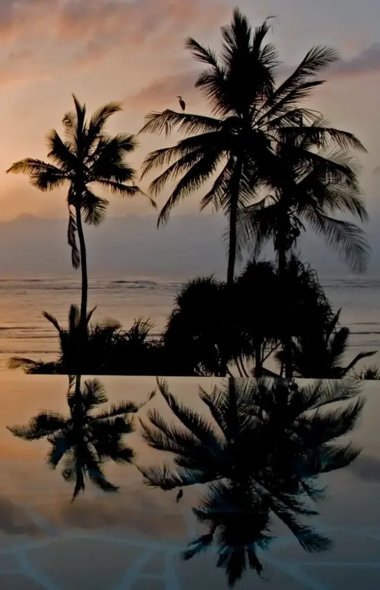 Palm trees silhouetted against sunset with reflection in still water, Alfajiri Garden Villa, Diani Beach, Kenya