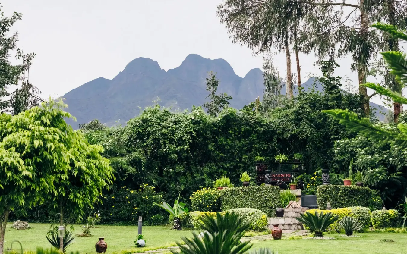 Manicured gardens with mountains visible in background, Amakoro Songa Lodge, Volcanoes National Park, Rwanda