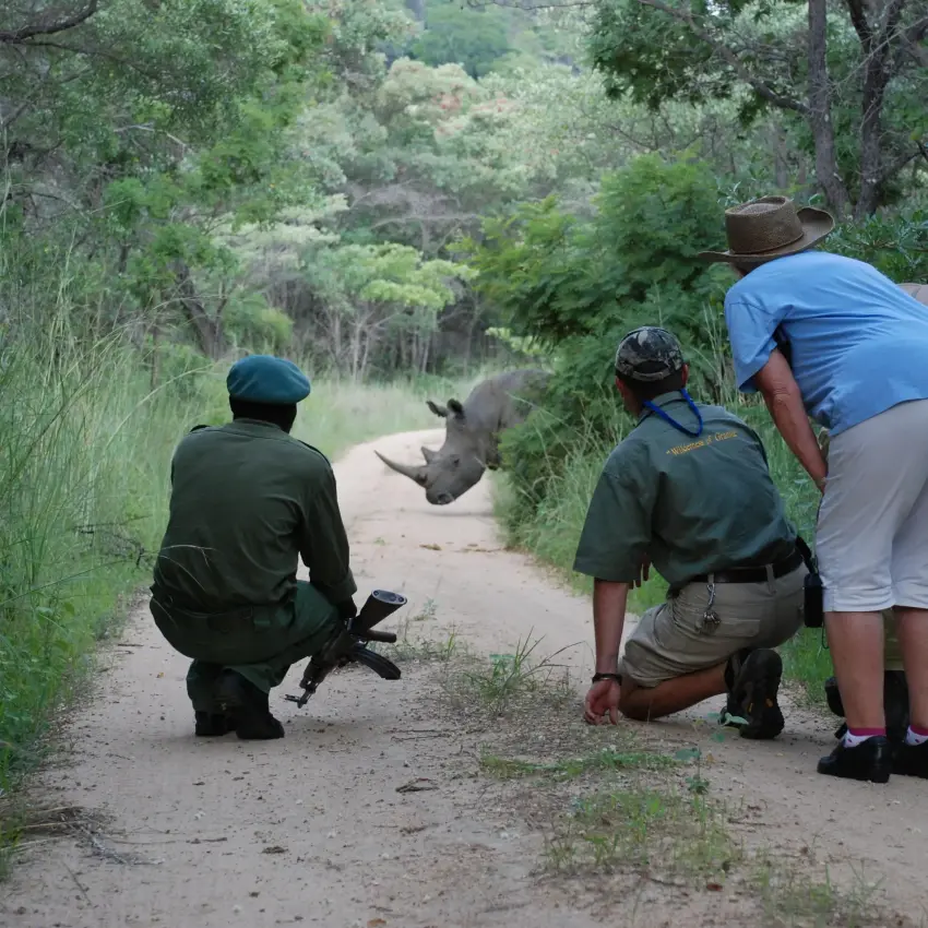 Guides and guests observing wildlife on forest trail, Matobo, Zimbabwe