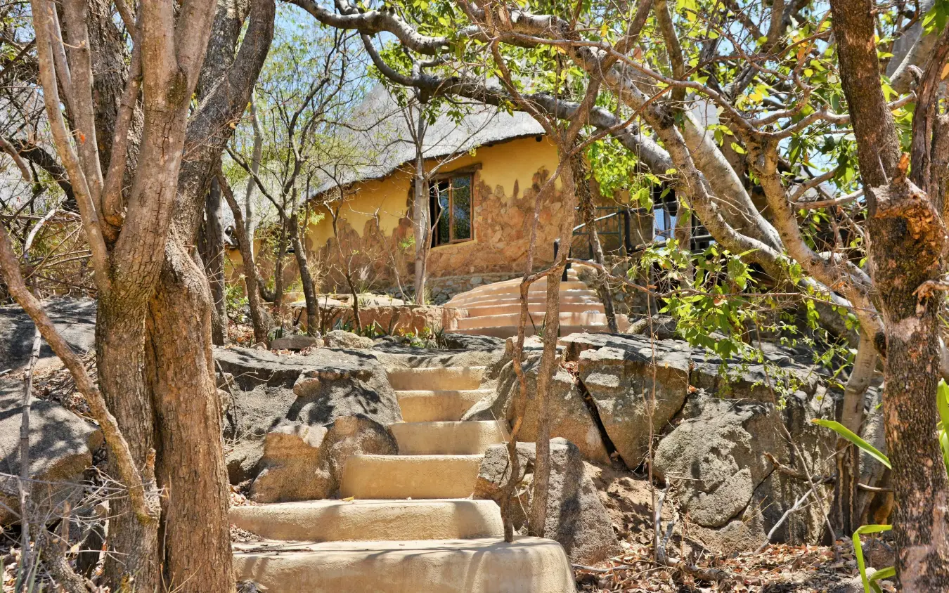 Stone steps leading to yellow lodge building through large trees, Amalinda Lodge, Matobo, Zimbabwe