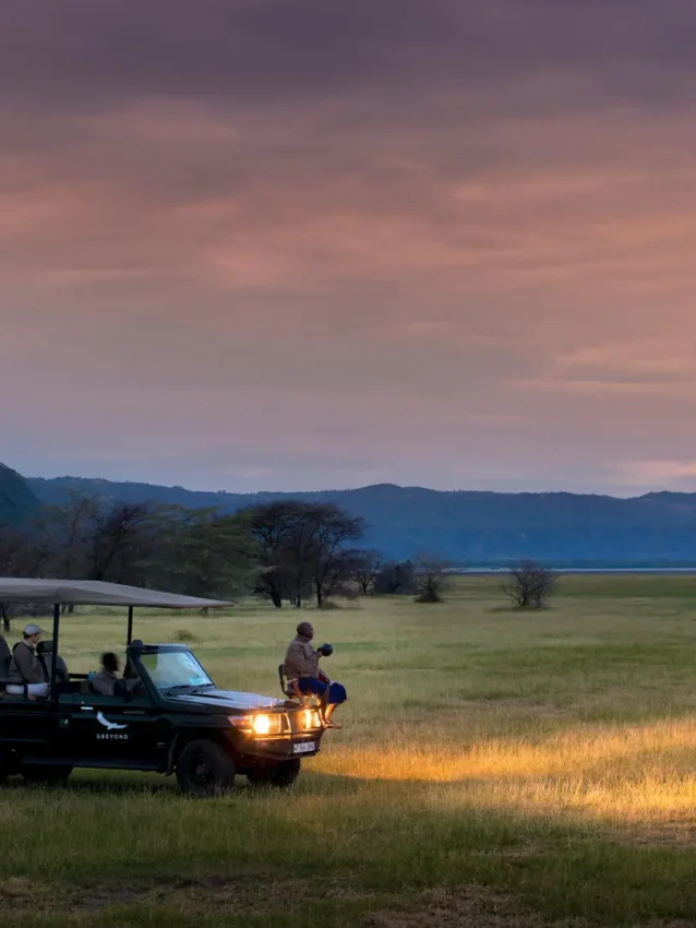 Safari vehicle with guests during evening game drive in grassland, Lake Manyara Tree Lodge, Lake Manyara, Tanzania