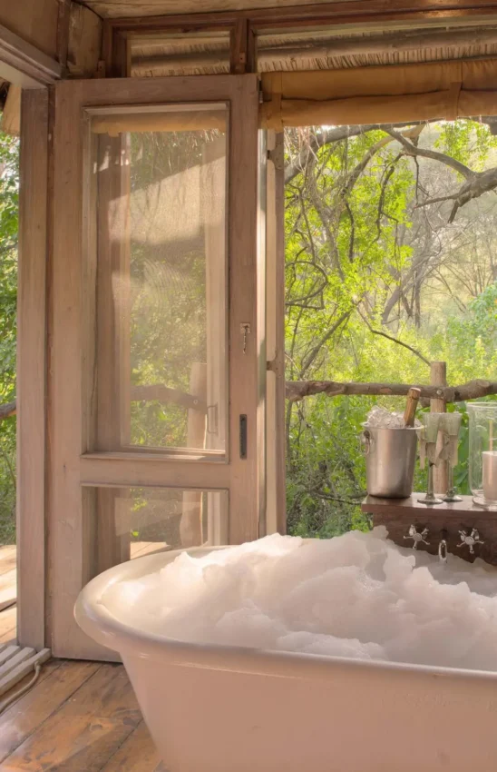 Luxury bathroom with freestanding tub and forest views, Lake Manyara Tree Lodge, Lake Manyara, Tanzania