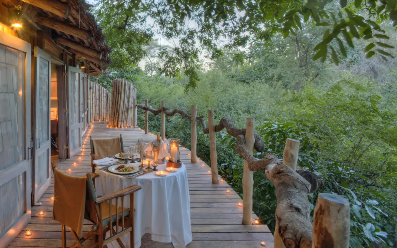 Wooden deck dining area with forest canopy views, Lake Manyara Tree Lodge, Lake Manyara, Tanzania