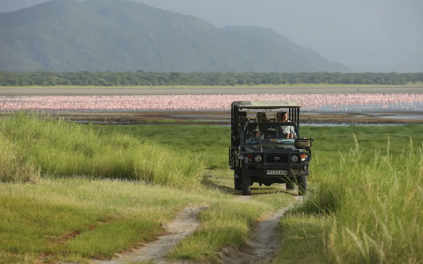 Open-top safari vehicle driving through grassland with lake beyond, Lake Manyara Tree Lodge, Lake Manyara, Tanzania