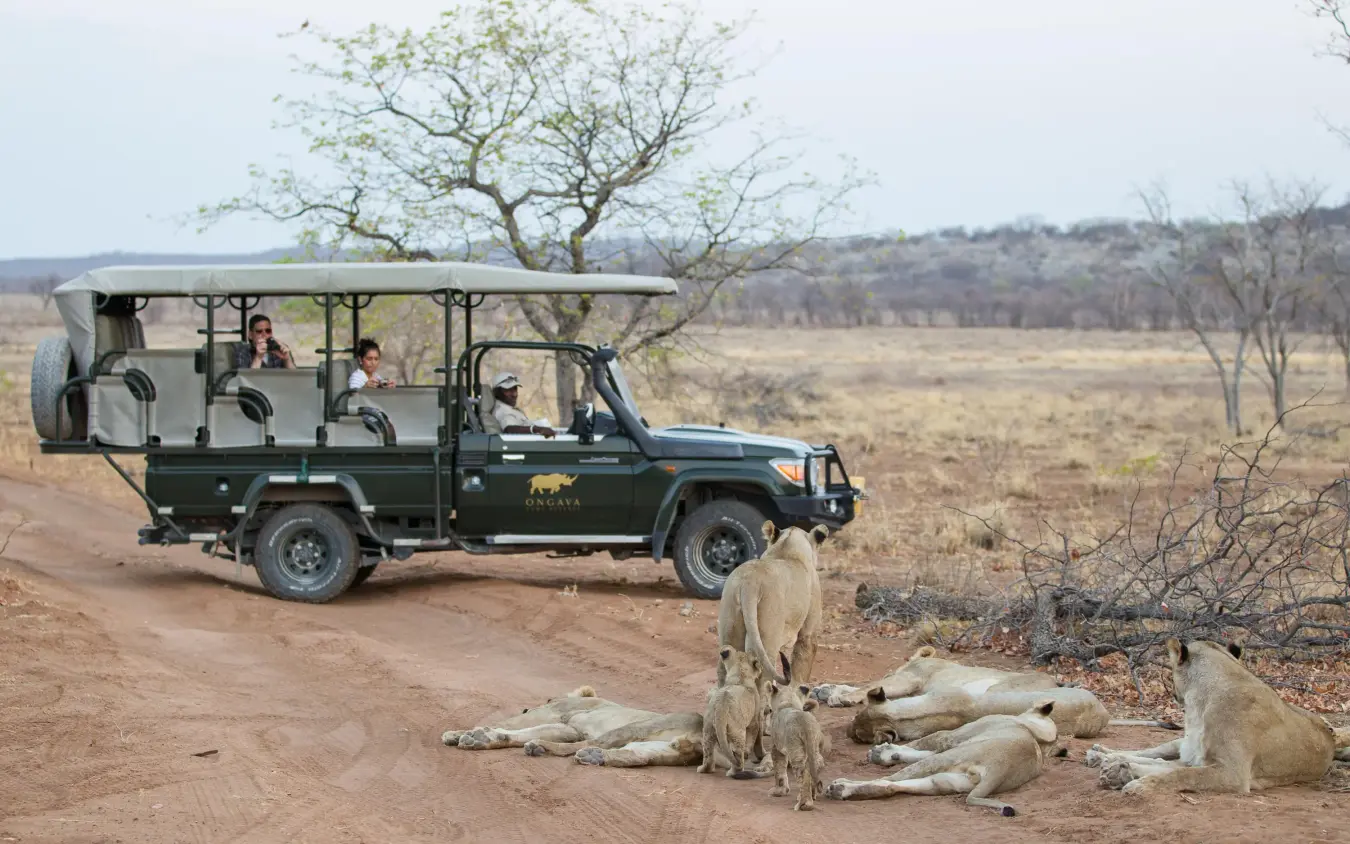 Safari vehicle with guests observing lions resting on ground, Anderssons at Ongava, Etosha National Park, Namibia
