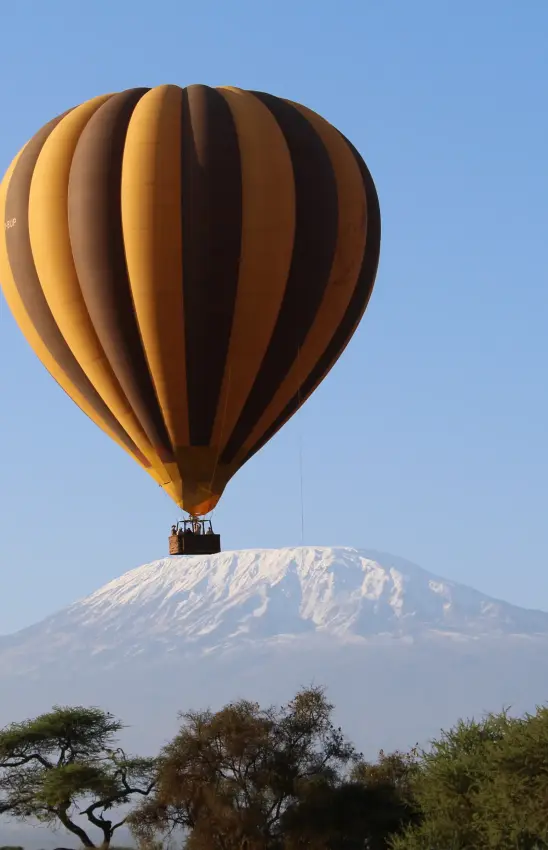 Hot air balloon floating above snow-capped mountain and acacia trees, Angama Amboseli, Amboseli and Chyulu Hills, Kenya