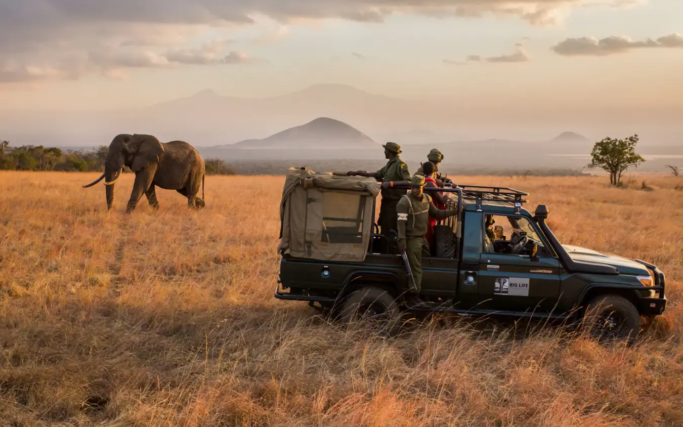 Safari vehicle with guests observing elephant in golden grassland at dusk, Angama Amboseli, Amboseli and Chyulu Hills, Kenya