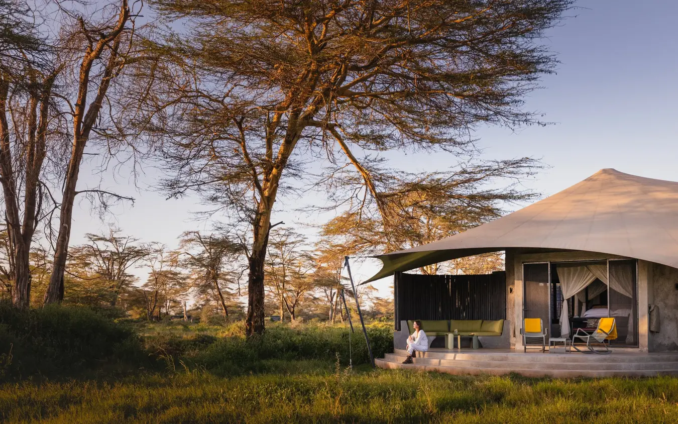 Luxury safari tent with guest on deck overlooking acacia woodland at sunset, Angama Amboseli, Amboseli and Chyulu Hills, Kenya