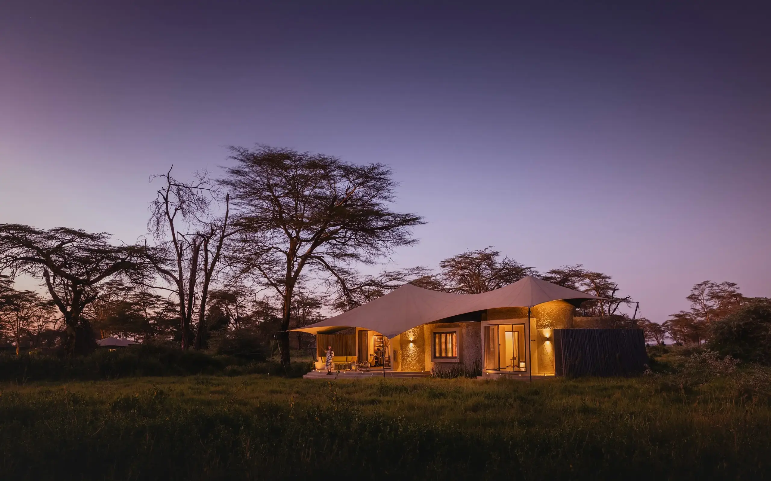 Illuminated safari lodge at dusk with acacia trees in grassland savanna, Angama Amboseli, Amboseli and Chyulu Hills, Kenya