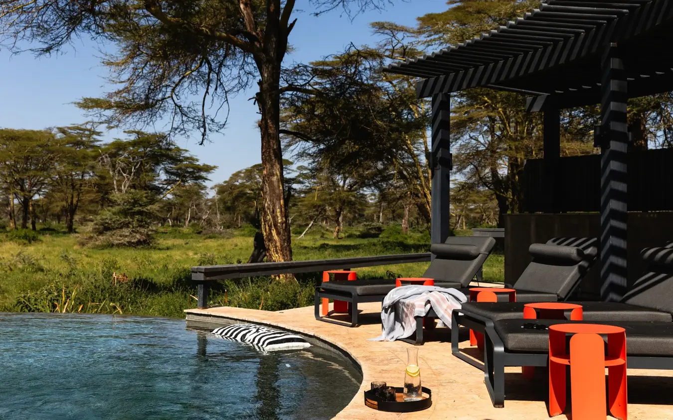 Waterside lounge with black pergola overlooking wildlife pool in acacia woodland, Angama Amboseli, Amboseli and Chyulu Hills, Kenya
