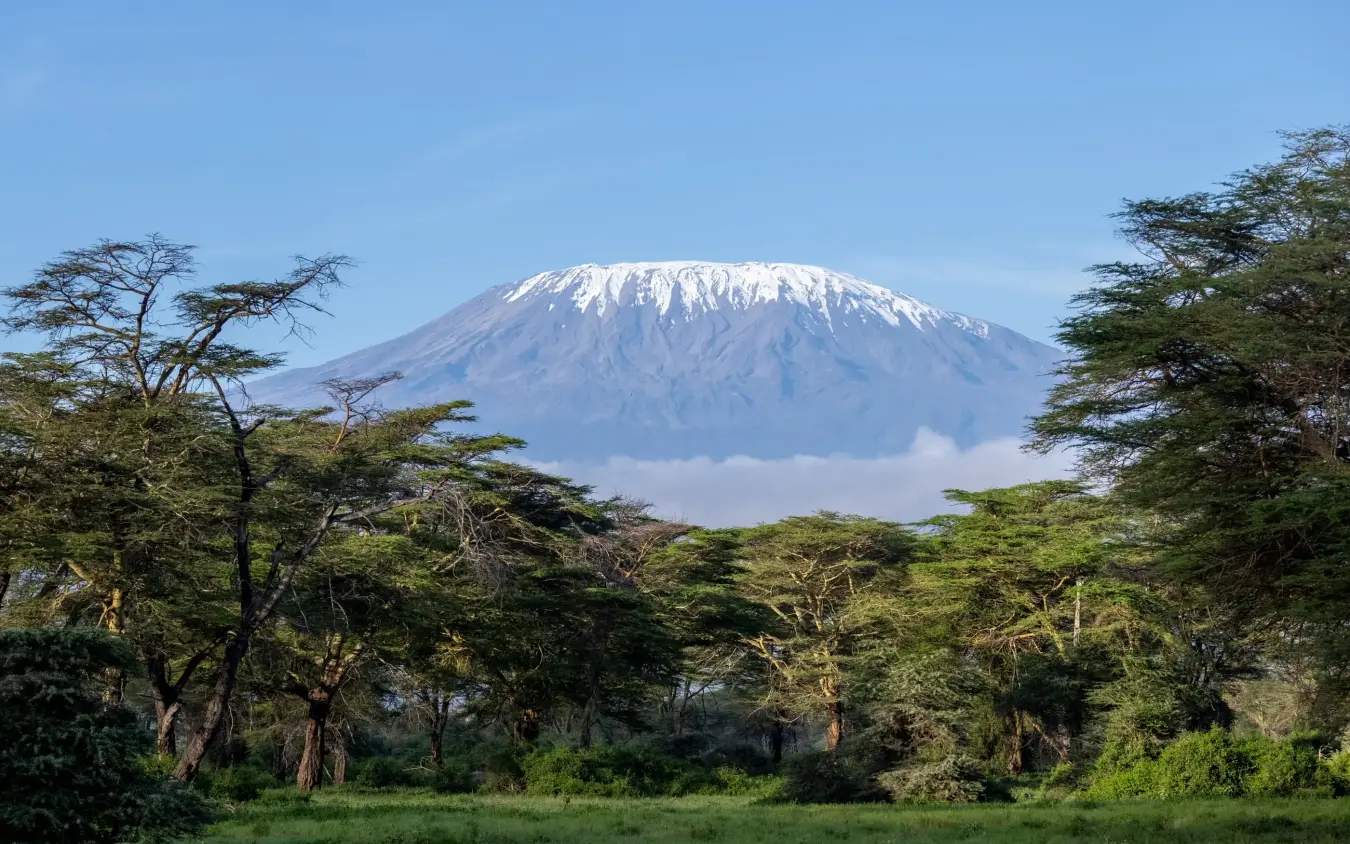 Snow-capped volcano rising above acacia woodland savanna, Angama Amboseli, Amboseli and Chyulu Hills, Kenya