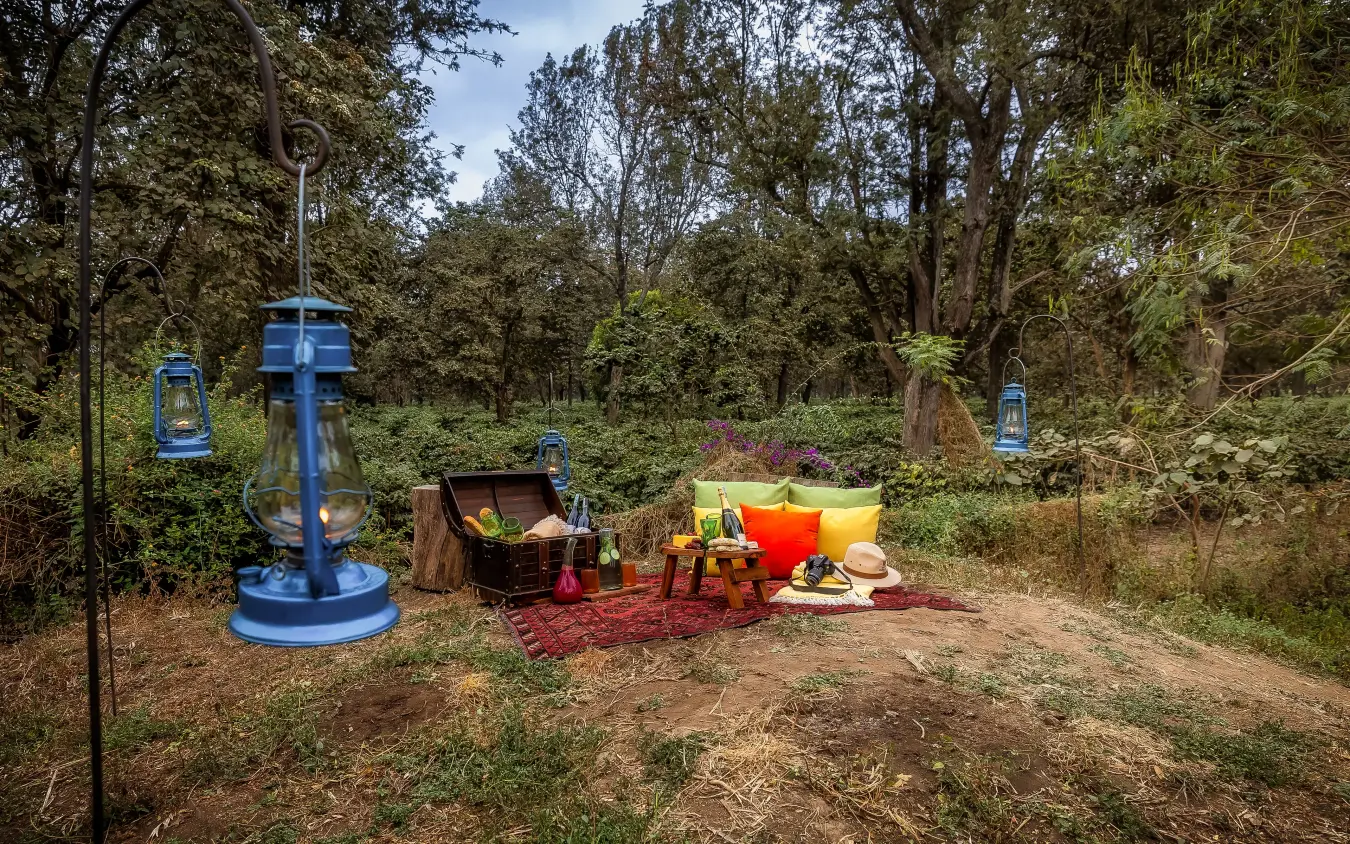 Outdoor glamping setup with blue exercise equipment in woodland clearing, Arusha Coffee Lodge, Arusha, Tanzania