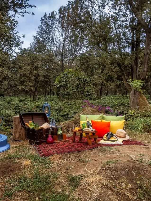 Outdoor glamping setup with blue exercise equipment in woodland clearing, Arusha Coffee Lodge, Arusha, Tanzania