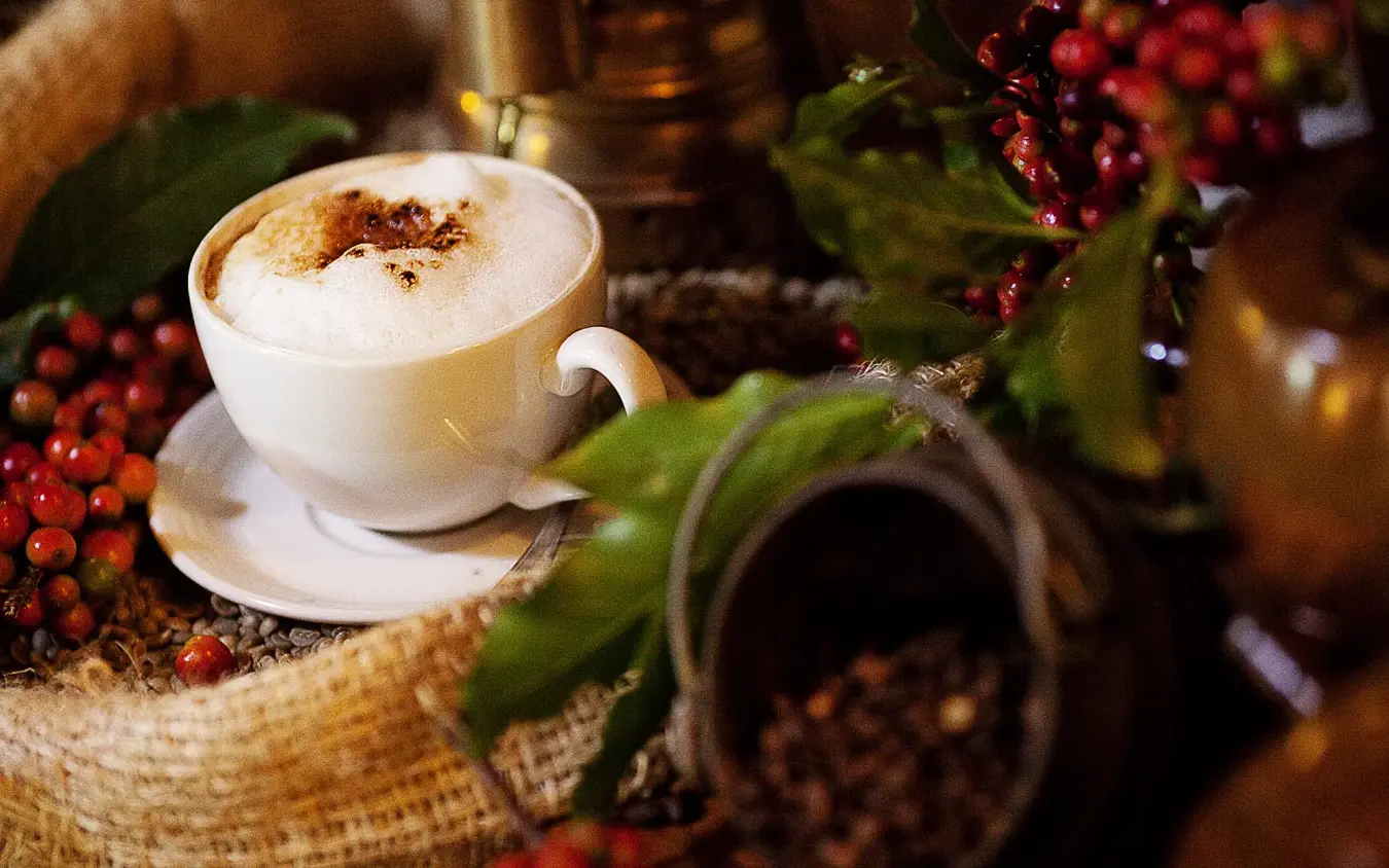 Cappuccino with cinnamon next to red berries and dried botanicals, Arusha Coffee Lodge, Arusha, Tanzania