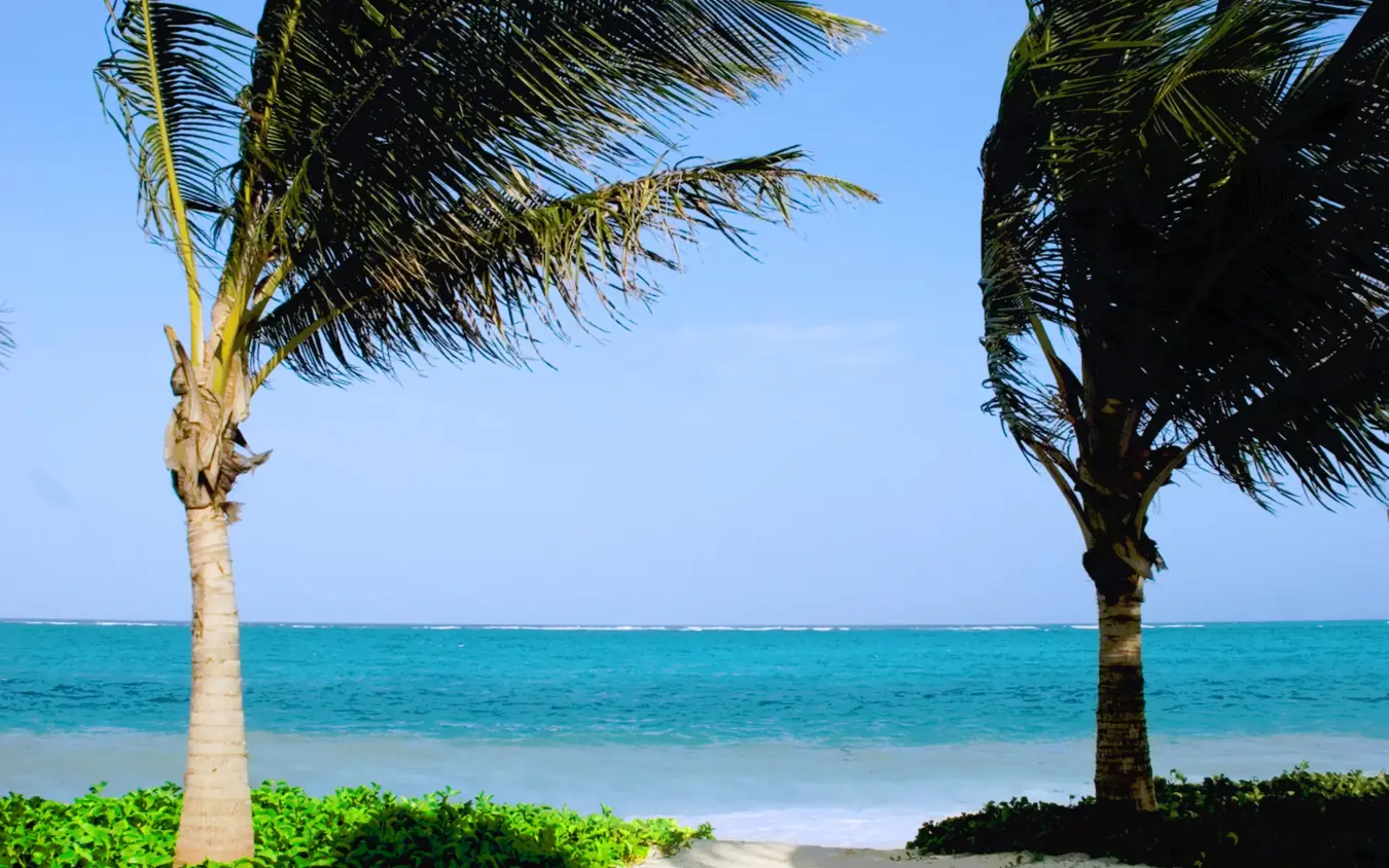 Palm trees frame white sand beach and turquoise ocean, Baraza Resort and Spa, Zanzibar & Pemba, Tanzania