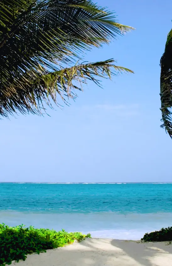 Palm trees frame white sand beach and turquoise ocean, Baraza Resort and Spa, Zanzibar & Pemba, Tanzania