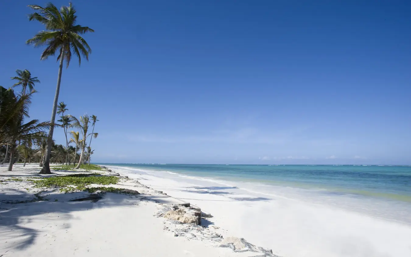 White sand beach with palm trees and turquoise ocean, Baraza Resort and Spa, Zanzibar & Pemba, Tanzania