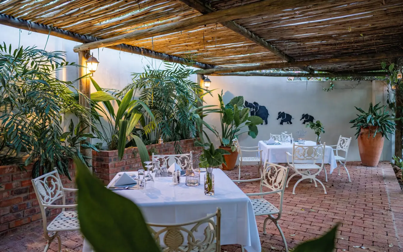Outdoor dining area with tables and potted plants at sunset, Batonka Guest Lodge, Victoria Falls, Zimbabwe