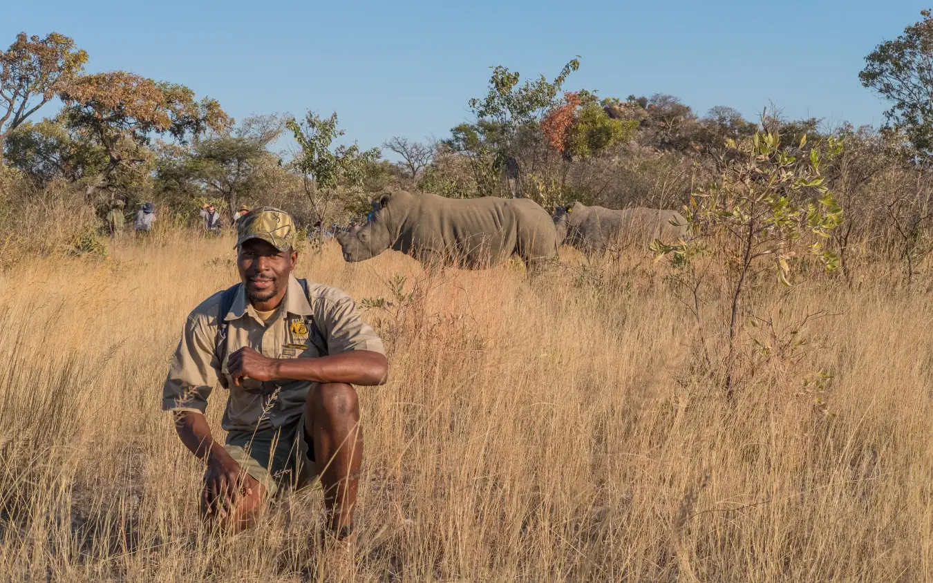 Park ranger posing with elephant in dry grassland savanna, Big Cave Camp, Matobo, Zimbabwe