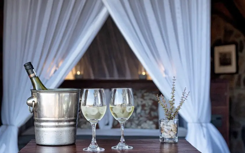 Wine bottle in ice bucket with glasses on table by draped curtains, Big Cave Camp, Matobo, Zimbabwe