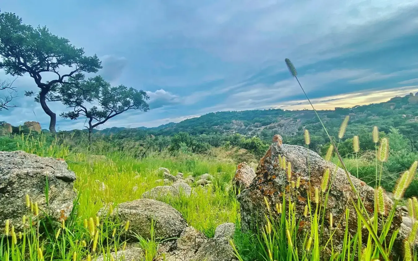 Rocky grassland with scattered boulders and yellow wildflowers beneath cloudy sky, Big Cave Camp, Matobo, Zimbabwe