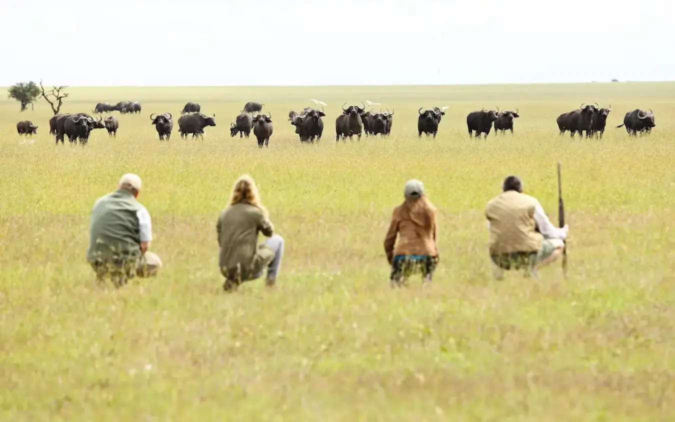 Guests on horseback approaching herd of elephants in savanna, Borana Lodge, Laikipia Highlands, Kenya