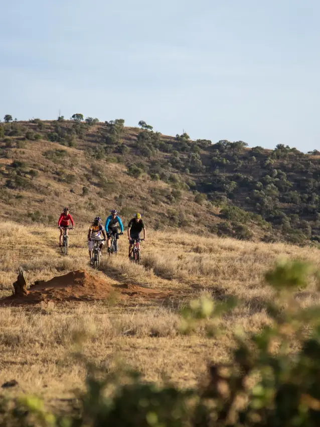 Group of cyclists riding through dry savanna landscape, Borana Lodge, Laikipia Highlands, Kenya