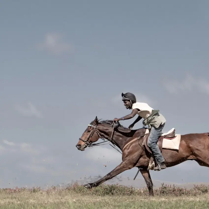 Rider on horseback galloping across open grassland, Borana Lodge, Laikipia Highlands, Kenya