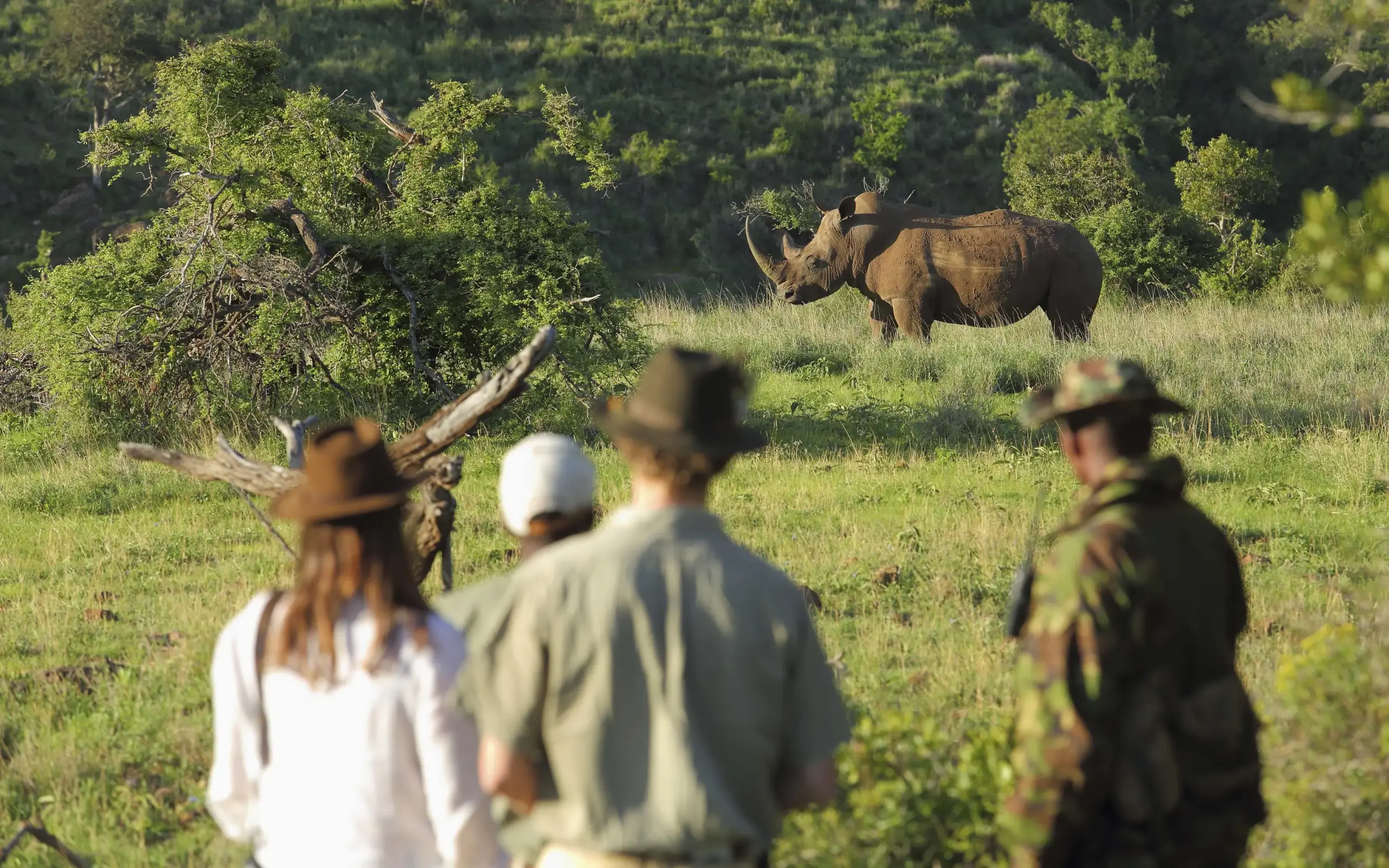 Guests on safari viewing rhino in savanna landscape, Borana Lodge, Laikipia Highlands, Kenya