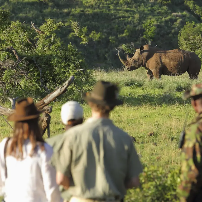 Guests on safari viewing rhino in savanna landscape, Borana Lodge, Laikipia Highlands, Kenya