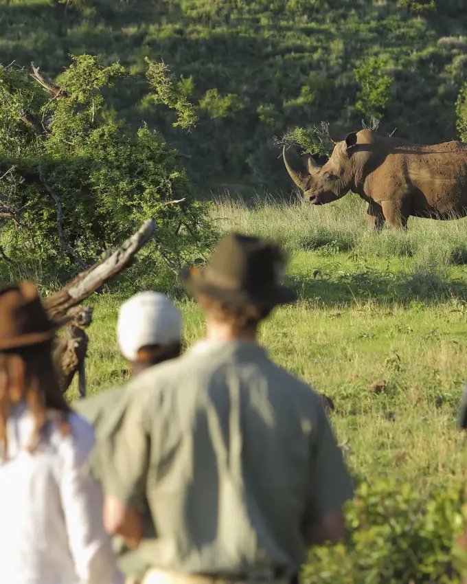 Guests on safari viewing rhino in savanna landscape, Laikipia Highlands, Kenya