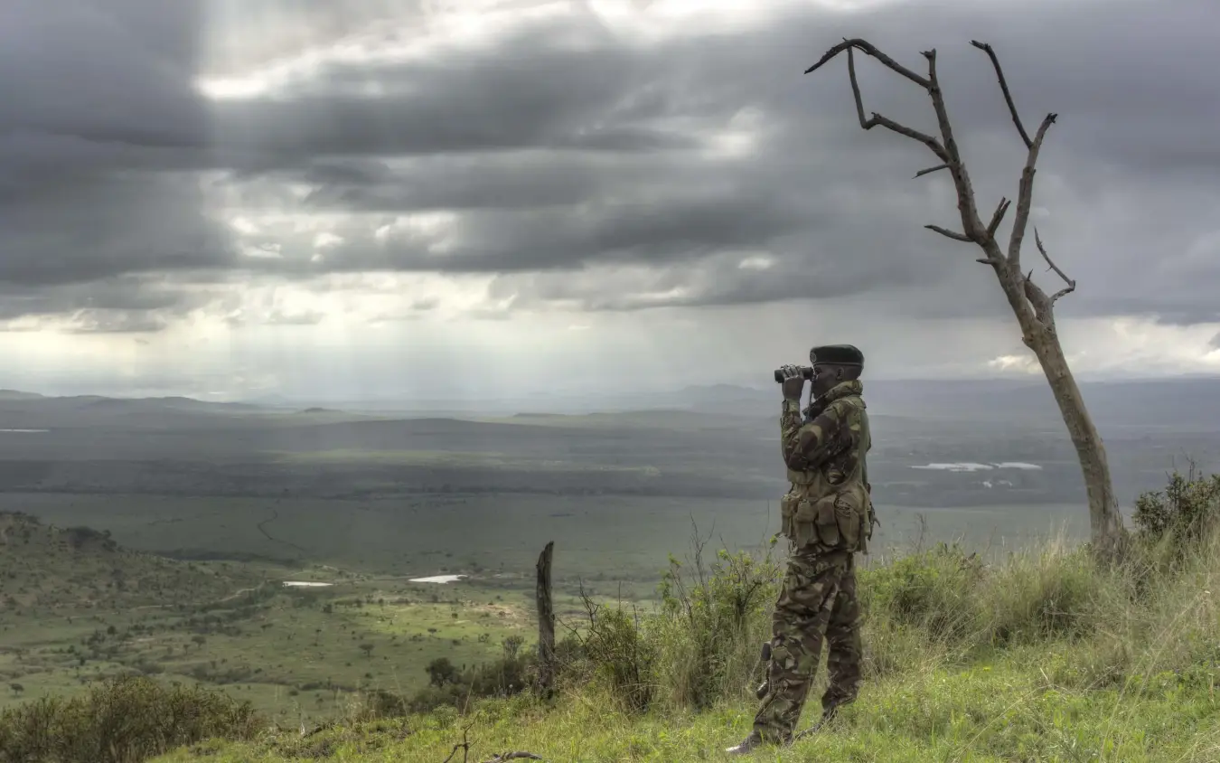 Sweeping savanna vista with dead tree and storm clouds, Borana Lodge, Laikipia Highlands, Kenya