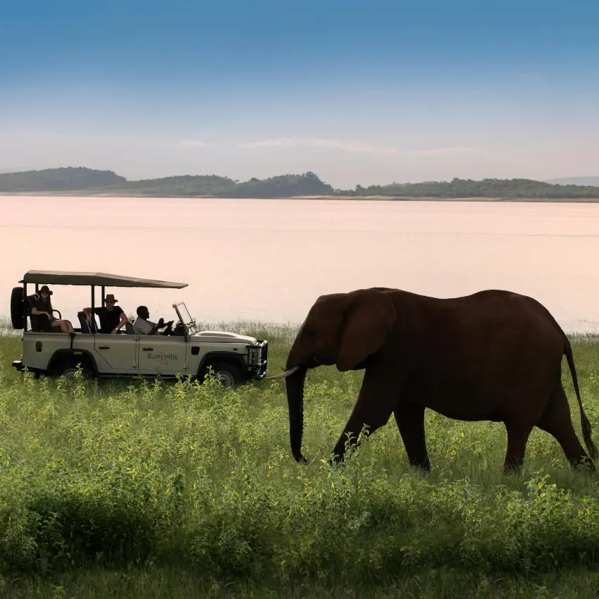 Safari vehicle with guests viewing elephants by water, Matusadona, Zimbabwe