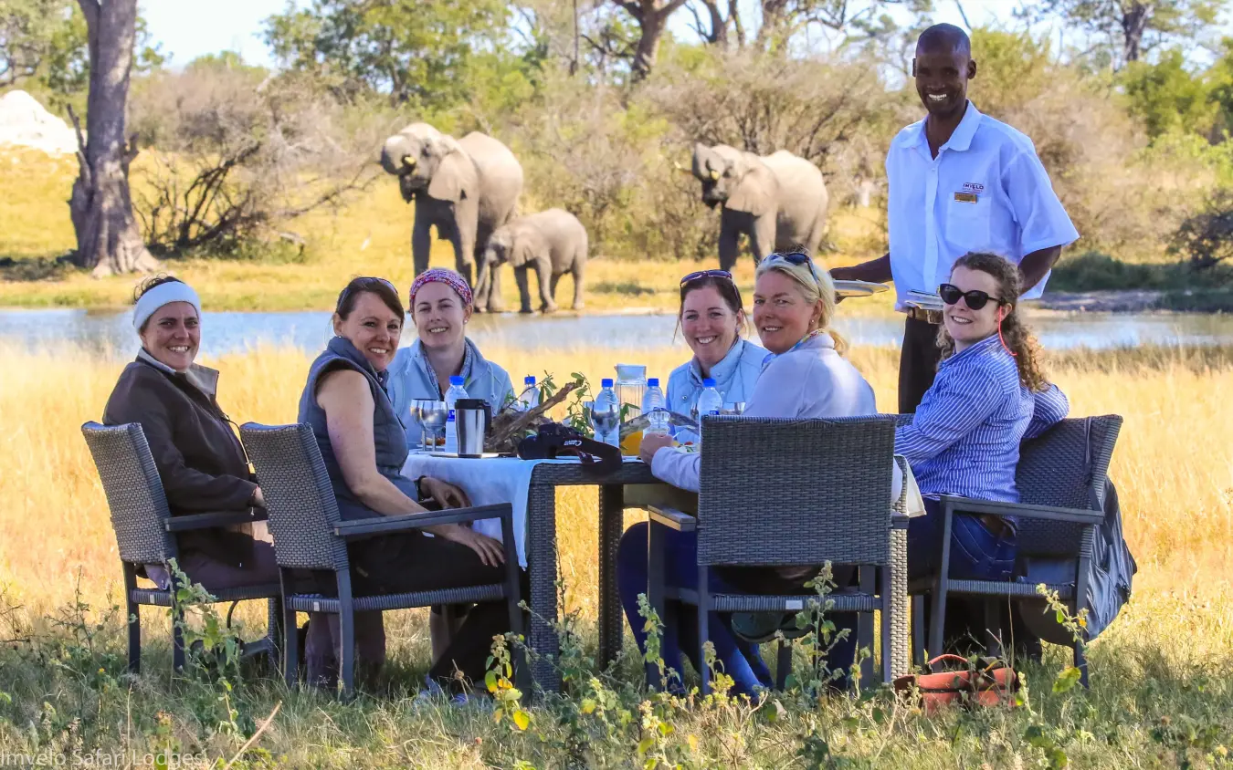 Group dining by waterhole with elephants in background savanna, Camelthorn Lodge, Hwange National Park, Zimbabwe