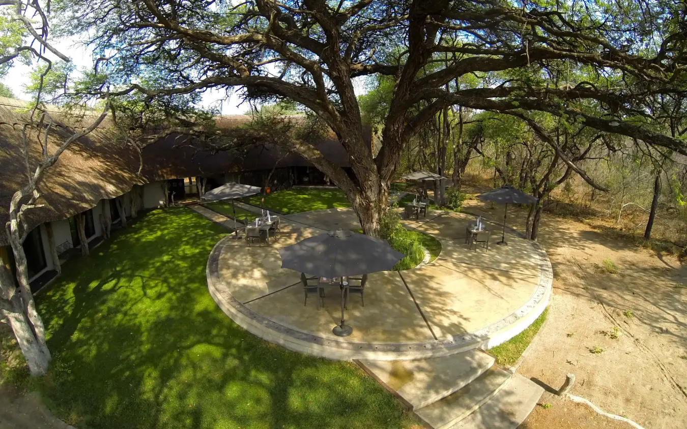 Outdoor dining area with circular concrete platform beneath acacia trees, Camelthorn Lodge, Hwange National Park, Zimbabwe