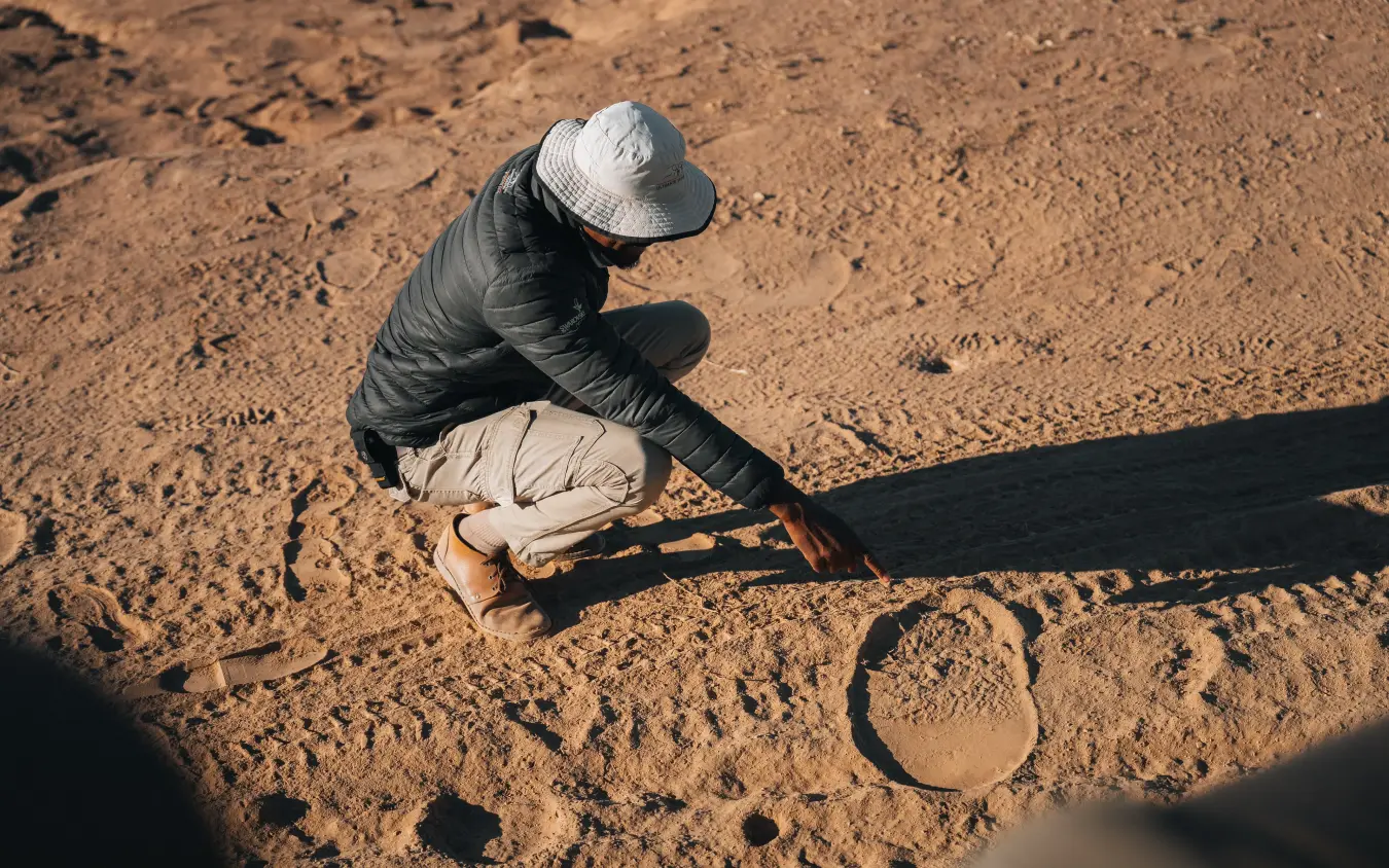 Person crouching on sandy ground examining wildlife tracks, Camp Doros, Damaraland, Namibia
