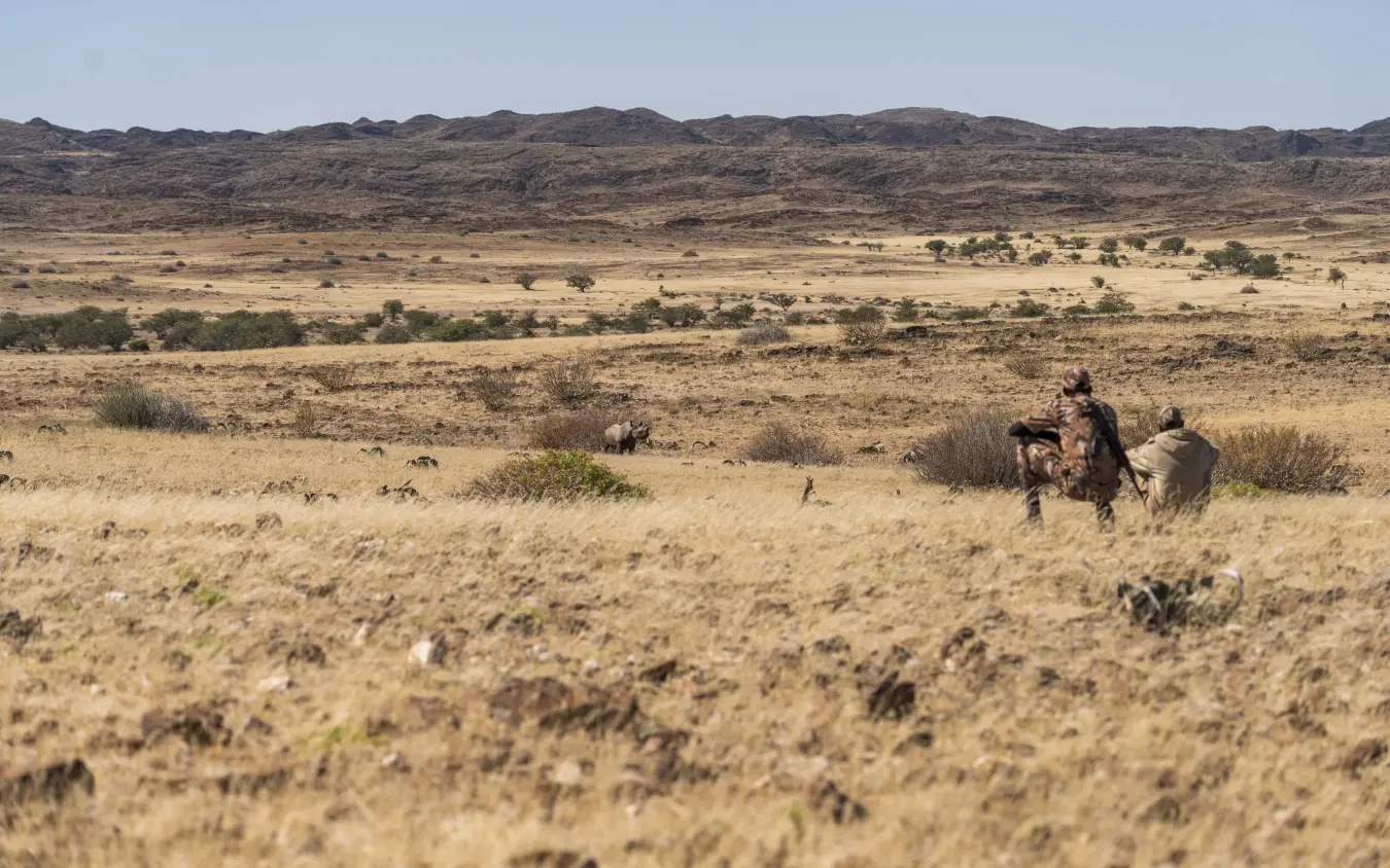 Camel herders trekking across arid desert plateau with distant mountains, Camp Doros, Damaraland, Namibia