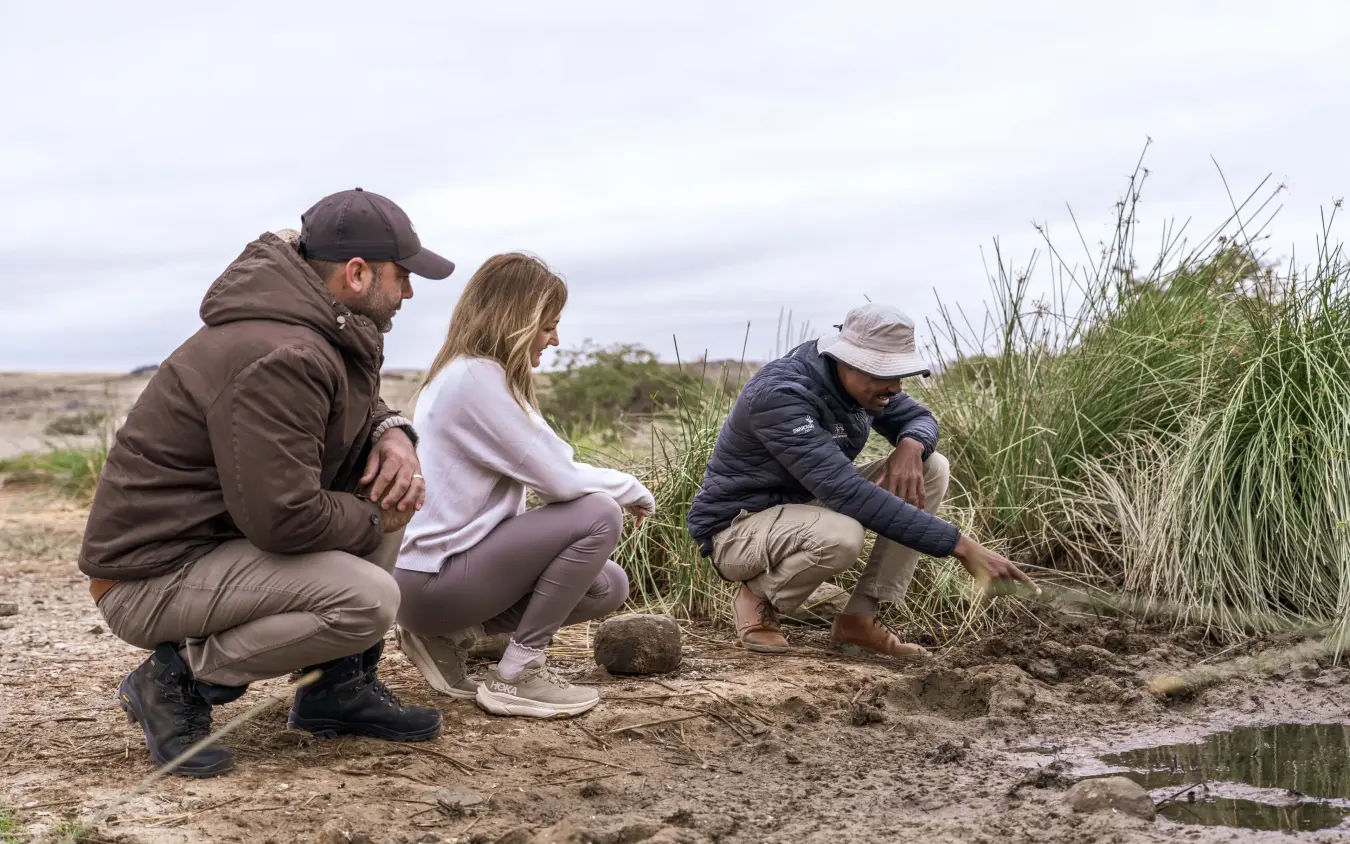 Guides and guests examining wetland vegetation by water's edge, Camp Doros, Damaraland, Namibia