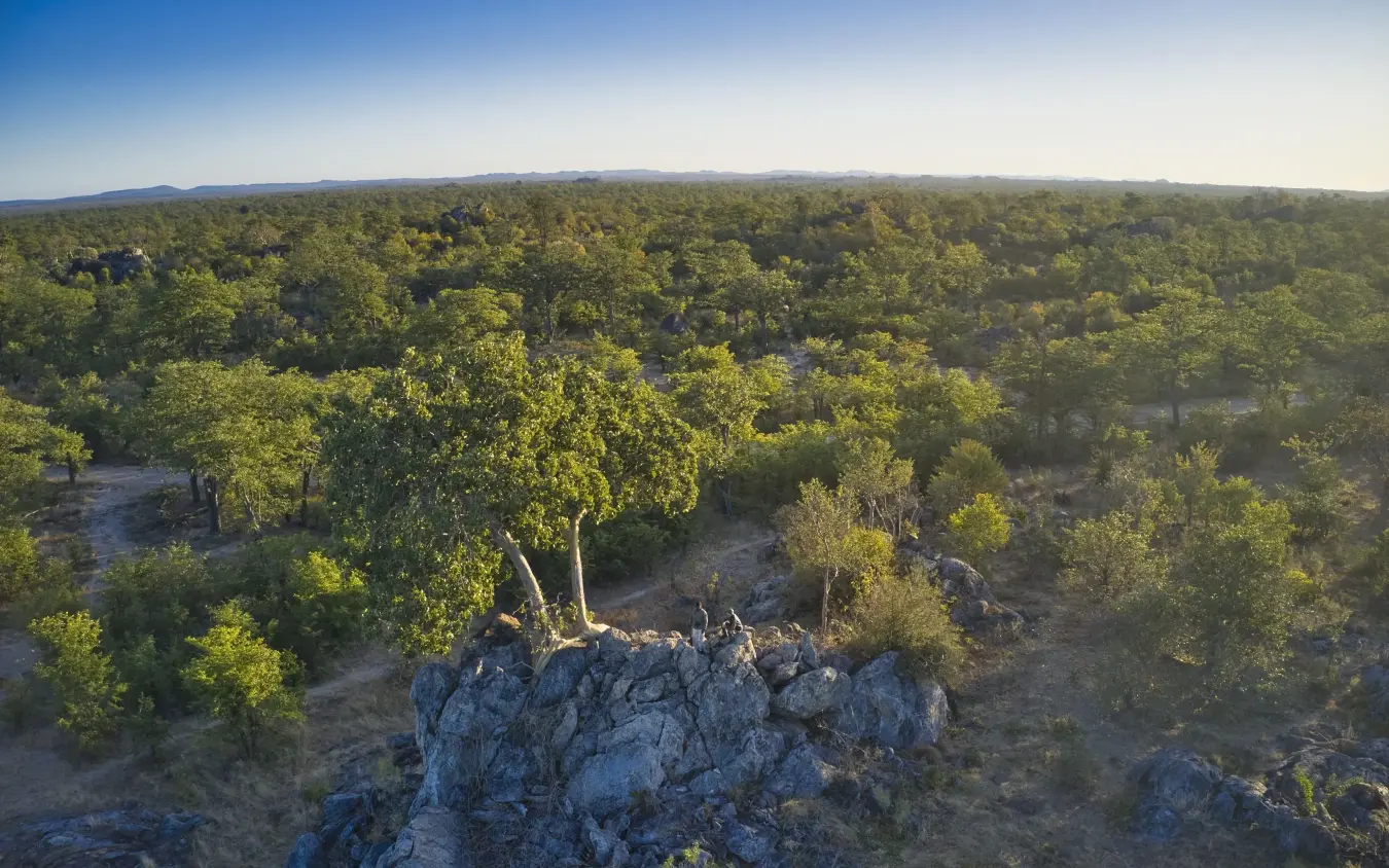 Aerial view of woodland landscape with rocky outcrop and river, Camp Hwange, Hwange National Park, Zimbabwe