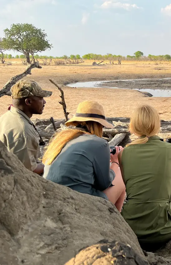 Guests observe elephant from safari vehicle at waterhole, Camp Hwange, Hwange National Park, Zimbabwe