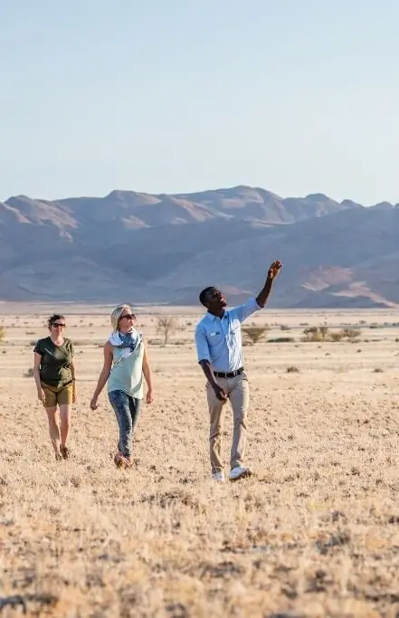 Group of guests walking across desert landscape with mountains, Camp Sossus, Sossusvlei, Namibia