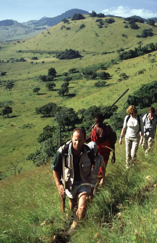 Hikers walking single file across green hillside landscape, Campi ya Kanzi, Amboseli and Chyulu Hills, Kenya
